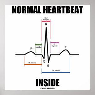 Normal Heartbeat Inside ECG EKG Electrocardiogram Poster