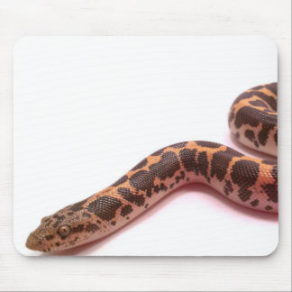Normal Kenyan sand boa mousepad