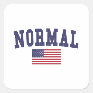 Normal US Flag Square Sticker