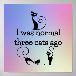 Normale Trois Chats Il Y A Drôle Poster Imprimer