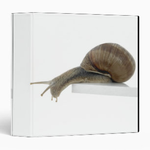 Normalsnail Binder