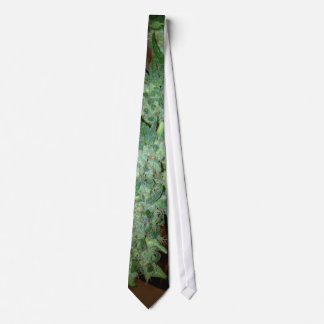 normtie tie