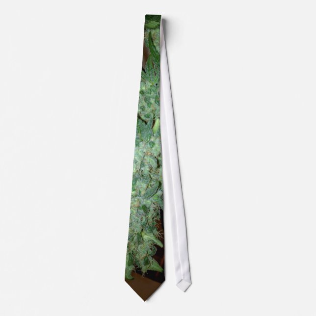 normtie tie (Front)