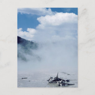 Norris Geyser Basin at Yellowstone National Park Postcard
