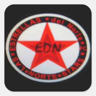norte_stars square sticker