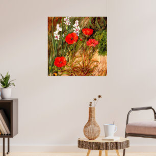 North - A South African Sundew Poster