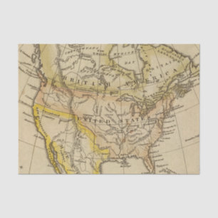 North America 10 2 Tissue Paper