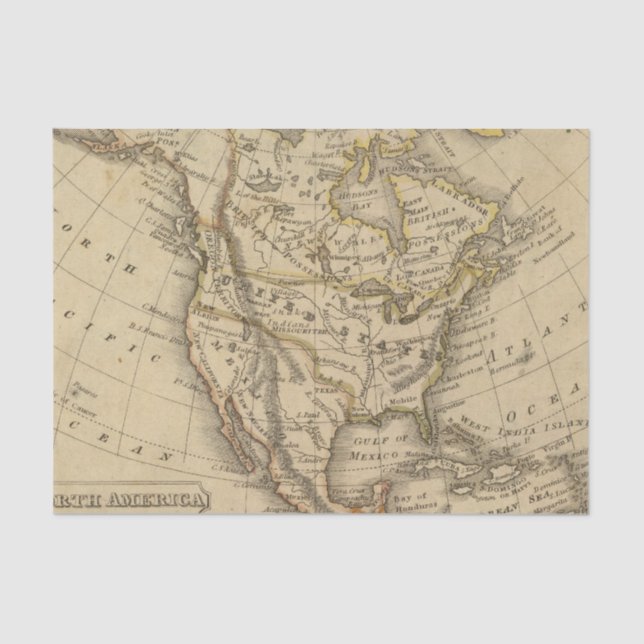 North America 10 Tissue Paper (Front)