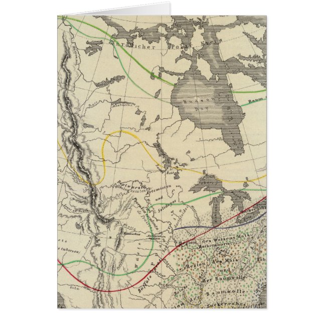 North America 11 (Front)