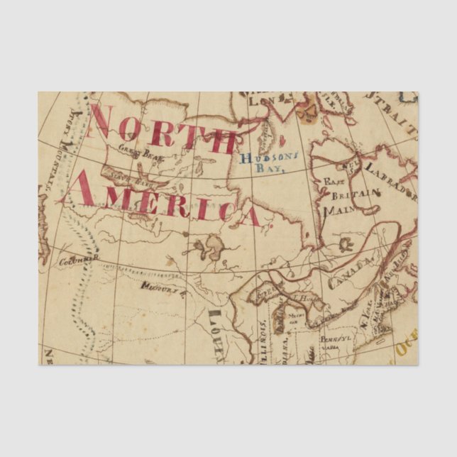 North America 8 Tissue Paper (Front)