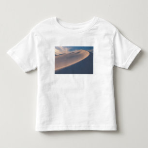 North America, America, New Mexico, White 2 Toddler T-shirt