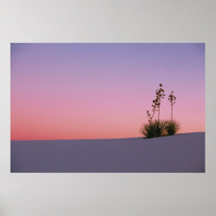 North America, America, New Mexico, White Poster