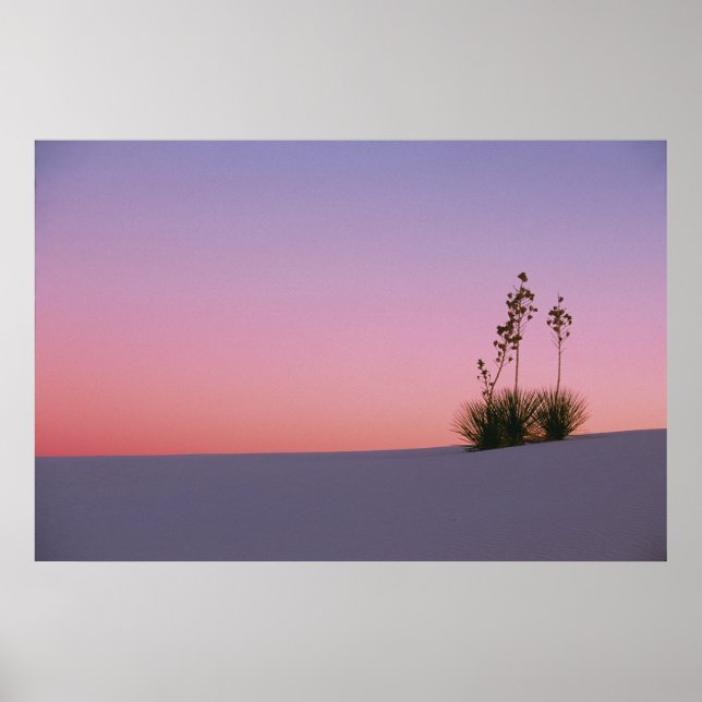 North America, America, New Mexico, White Poster (Front)