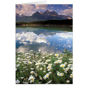 North America, Canada, Alberta, Banff National 2
