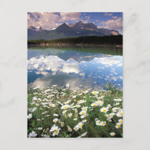 North America, Canada, Alberta, Banff National 2 Postcard