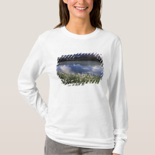 North America, Canada, Alberta, Banff National T-Shirt
