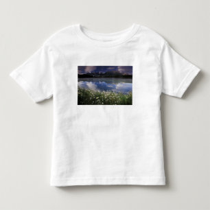 North America, Canada, Alberta, Banff National Toddler T-shirt