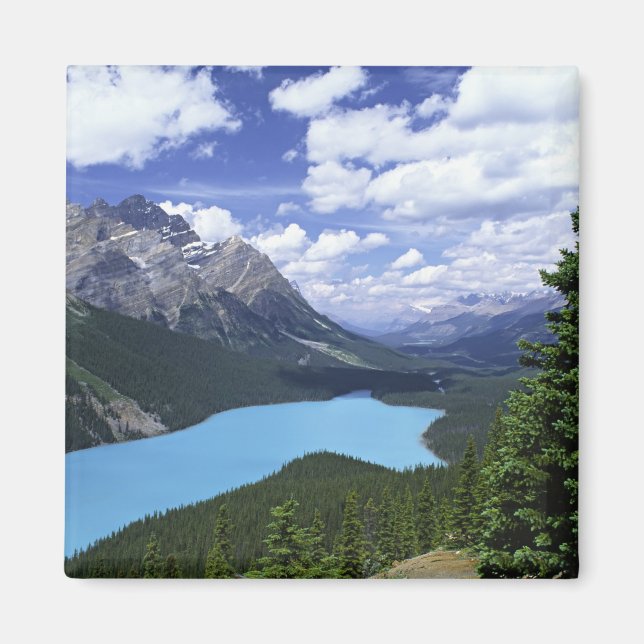 North America, Canada, Alberta, Jasper 6 Magnet (Front)