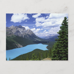 North America, Canada, Alberta, Jasper 6 Postcard