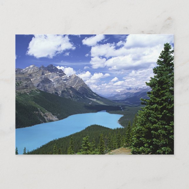 North America, Canada, Alberta, Jasper 6 Postcard (Front)