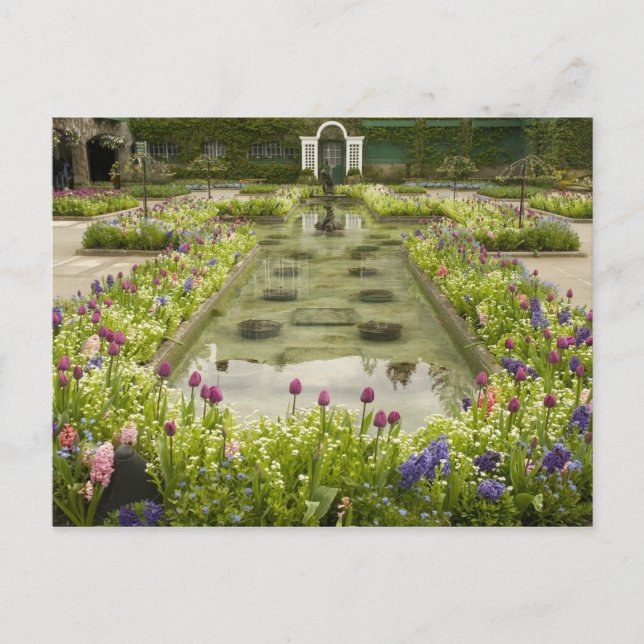 North America, Canada, British Columbia, 4 Postcard (Front)