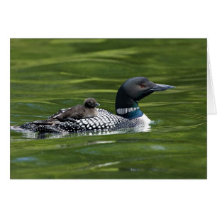 North America, Canada, British Columbia, Lac Le