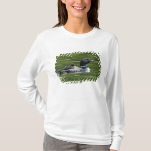 North America, Canada, British Columbia, Lac Le T-Shirt