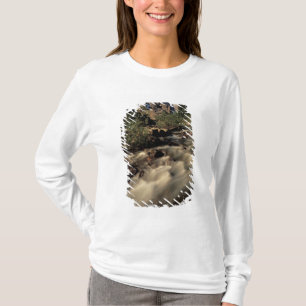 North America, Canada, Canadian Rockies, Banff T-Shirt