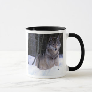 North America, Canada, Eastern Canada, Grey wolf Mug