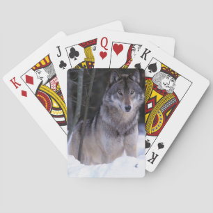 North America, Canada, Eastern Canada, Grey wolf Playing Cards