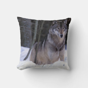North America, Canada, Eastern Canada, Grey wolf Throw Pillow