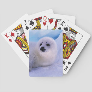 North America, Canada, Gulf of St. Lawrence Playing Cards
