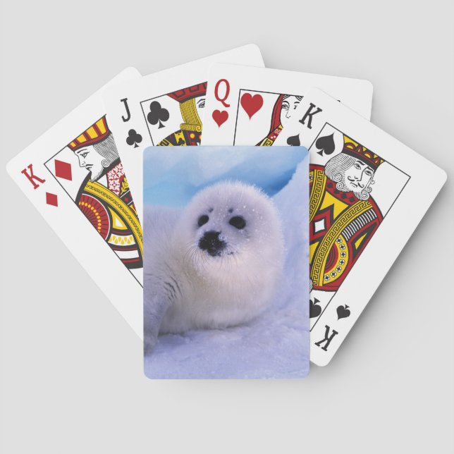 North America, Canada, Gulf of St. Lawrence Playing Cards (Back)
