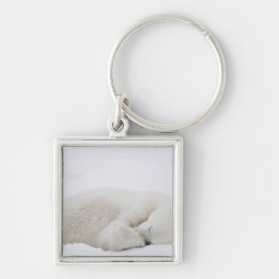 North America, Canada, Manitoba, Churchill. 3 Keychain