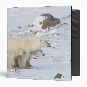 North America, Canada, Manitoba, Churchill. 4 Binder