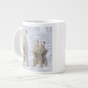 North America, Canada, Manitoba, Churchill. 5 Large Coffee Mug