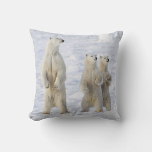North America, Canada, Manitoba, Churchill. 5 Throw Pillow