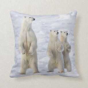 North America, Canada, Manitoba, Churchill. 5 Throw Pillow