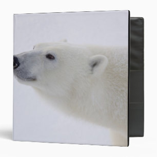 North America, Canada, Manitoba, Churchill. 6 Binder