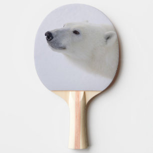 North America, Canada, Manitoba, Churchill. 6 Ping Pong Paddle