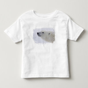 North America, Canada, Manitoba, Churchill. 6 Toddler T-shirt