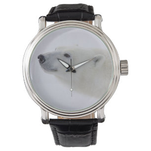 North America, Canada, Manitoba, Churchill. 6 Watch