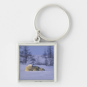 North America, Canada, Manitoba, Churchill Keychain