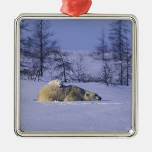 North America, Canada, Manitoba, Churchill Metal Ornament