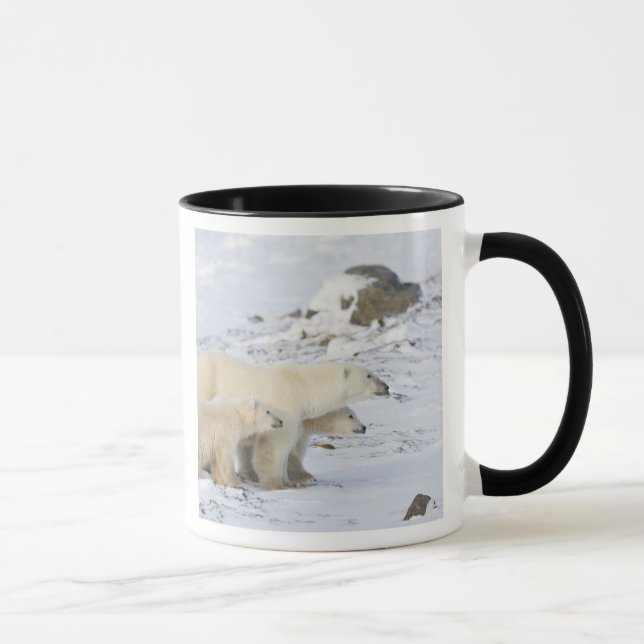 North America, Canada, Manitoba, Churchill Mug (Right)