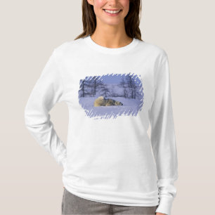 North America, Canada, Manitoba, Churchill T-Shirt