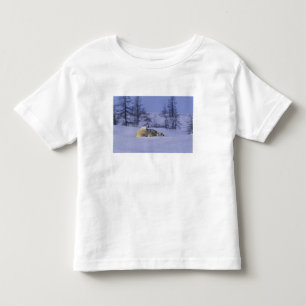 North America, Canada, Manitoba, Churchill Toddler T-shirt