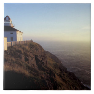 North America, Canada, Newfoundland, Cape Spear, 2 Tile