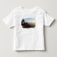 North America, Canada, Newfoundland, Cape Spear, 2