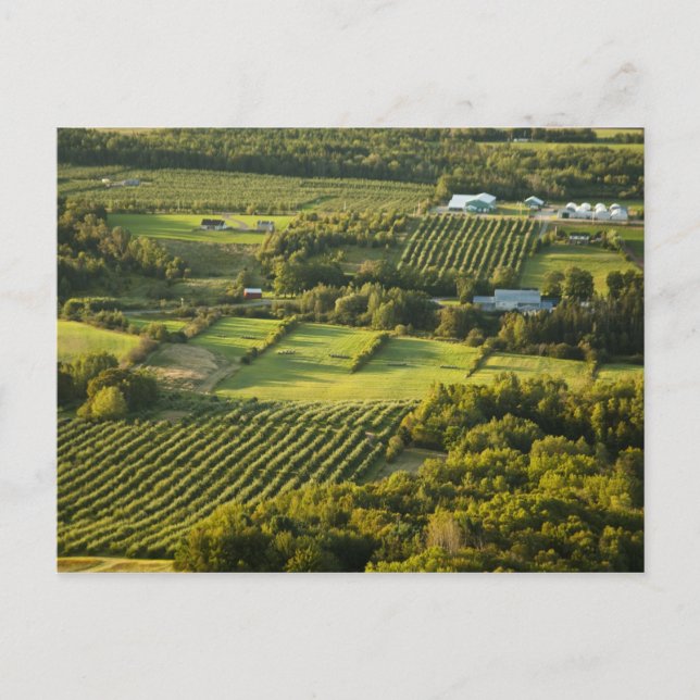 North America, Canada, Nova Scotia, Annapolis Postcard (Front)